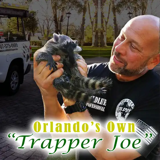 Advanced Wildlife Trappers